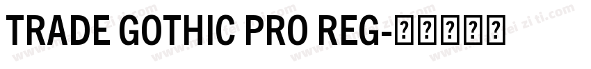 TRADE GOTHIC PRO REG字体转换